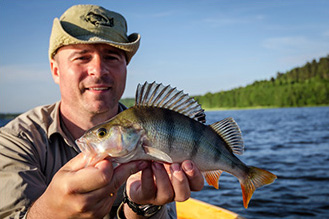 Photo of a man holding a caught Perch fish
